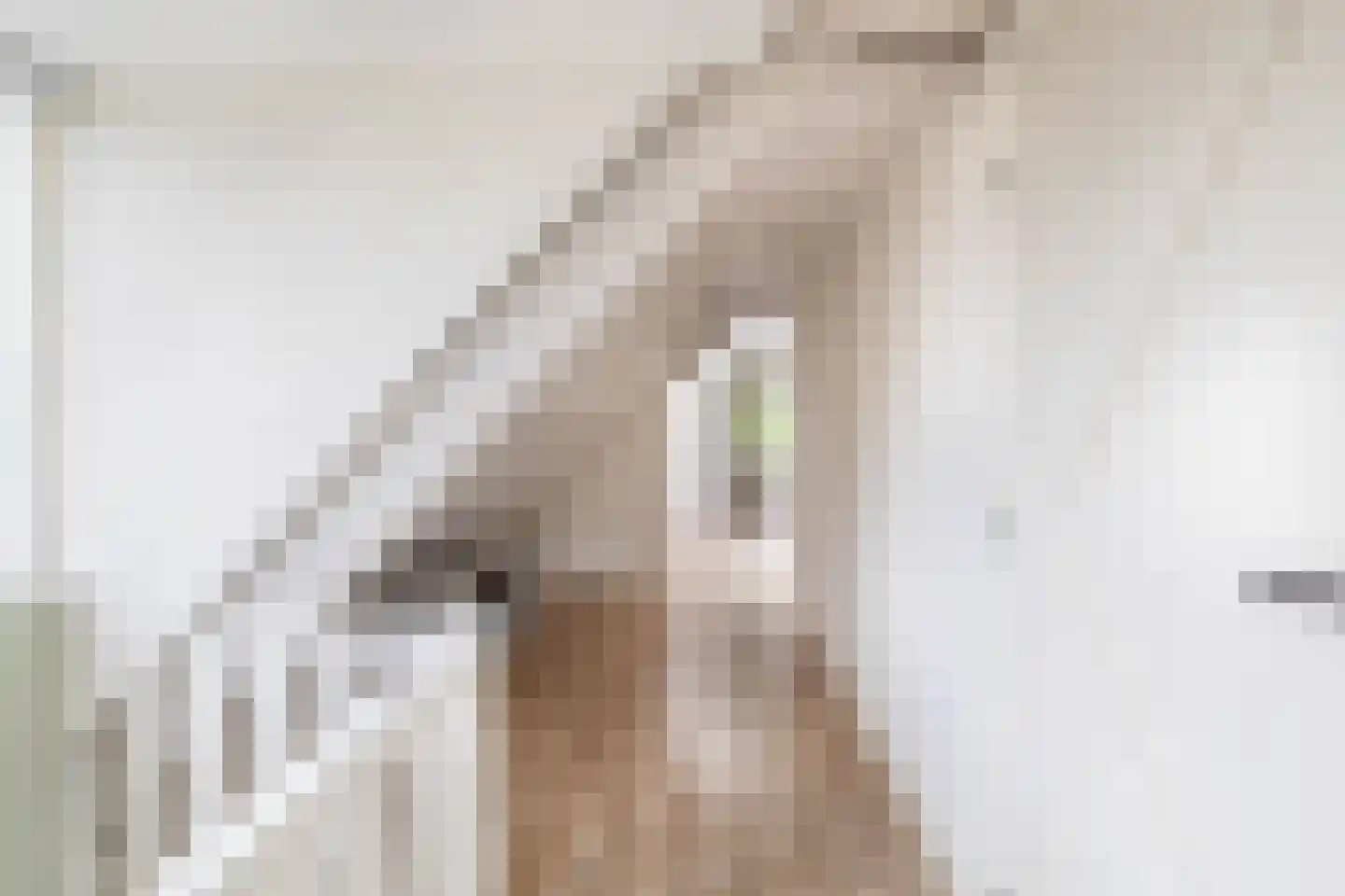 Beukenlaan 16 Oosterzee thumbnail 40