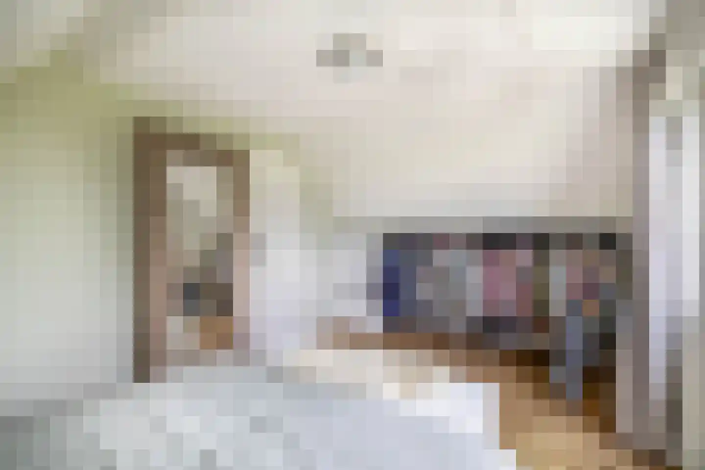 Beukenlaan 16 Oosterzee thumbnail 42