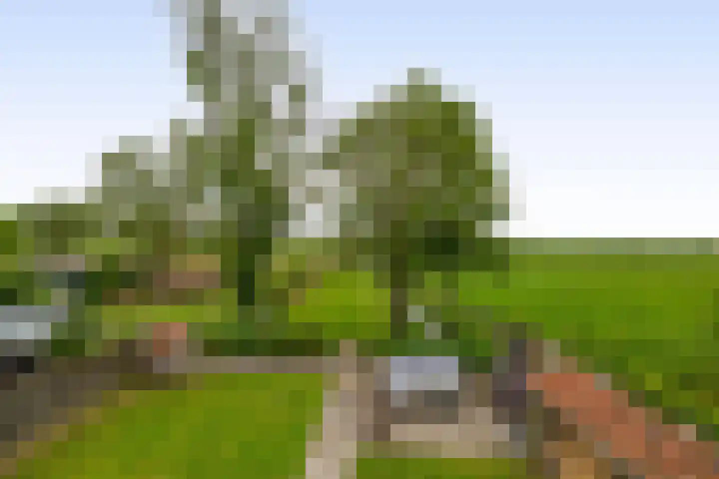 Beukenlaan 16 Oosterzee thumbnail 44