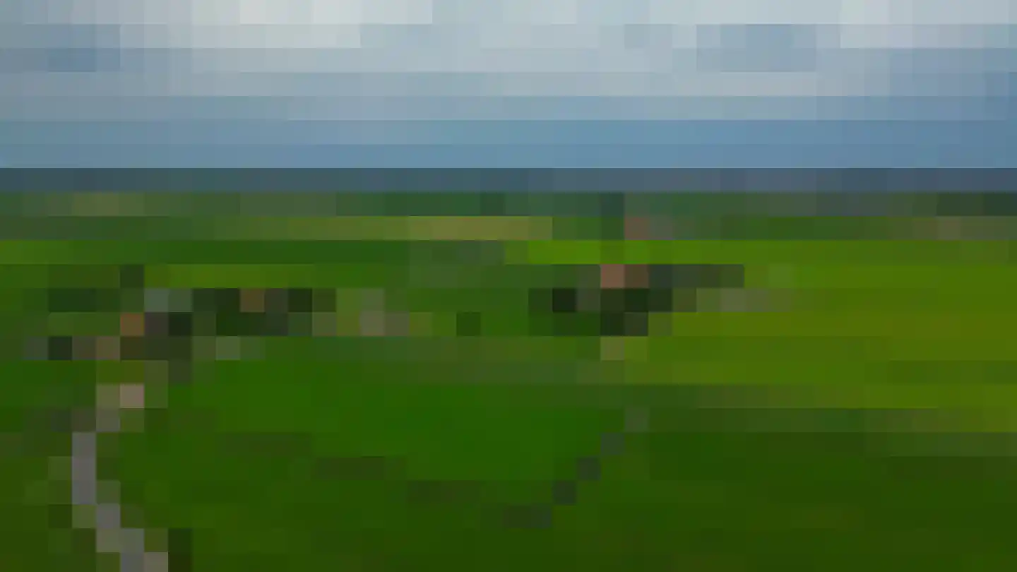 Beukenlaan 16 Oosterzee thumbnail 54