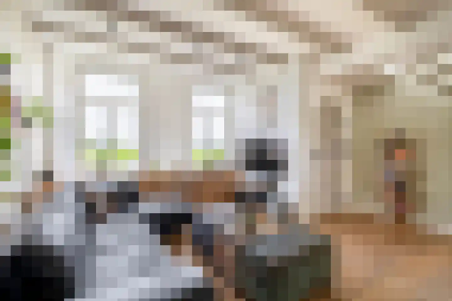 Beukenlaan 16 Oosterzee thumbnail 6