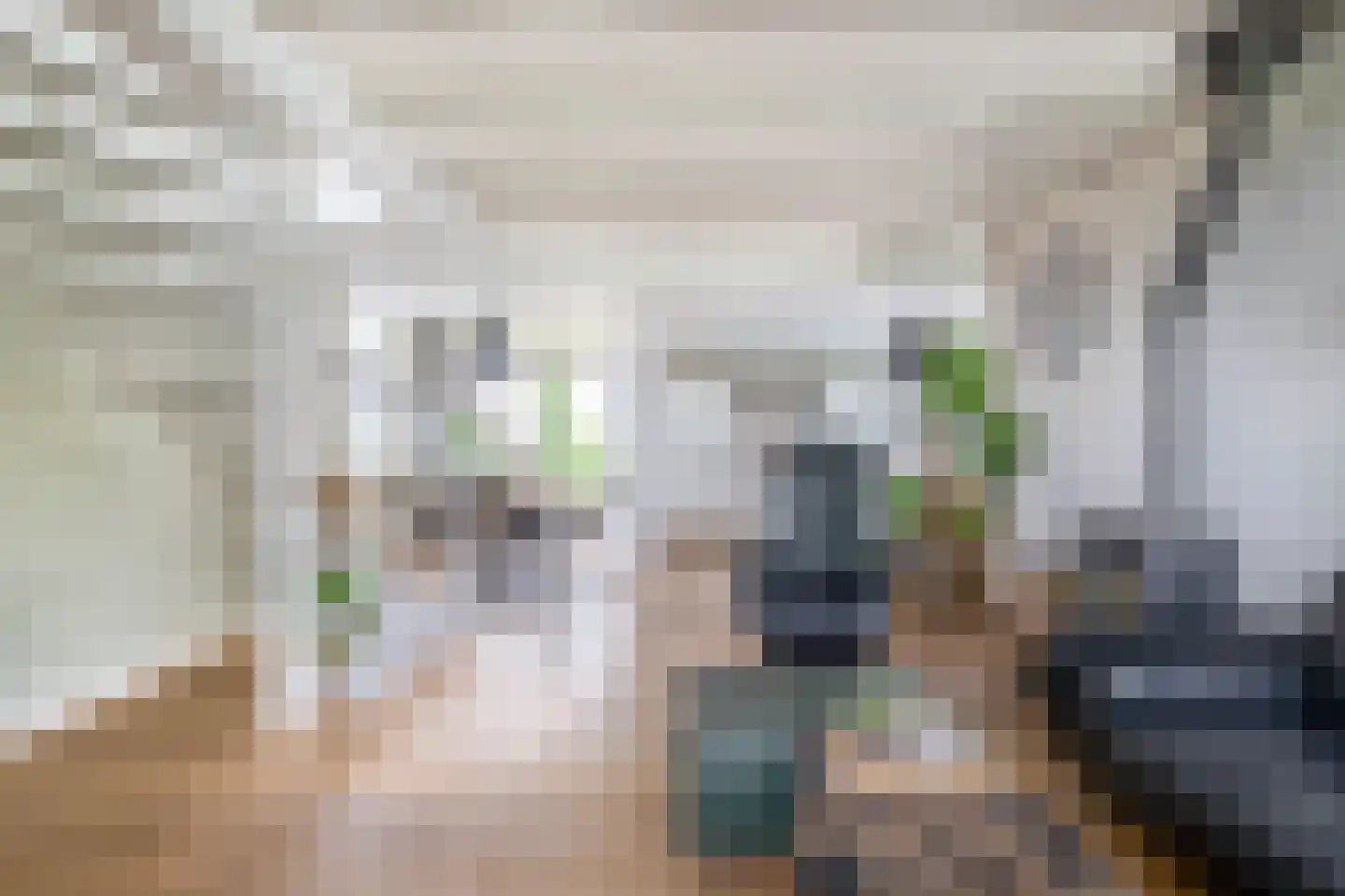 Beukenlaan 16 Oosterzee thumbnail 9