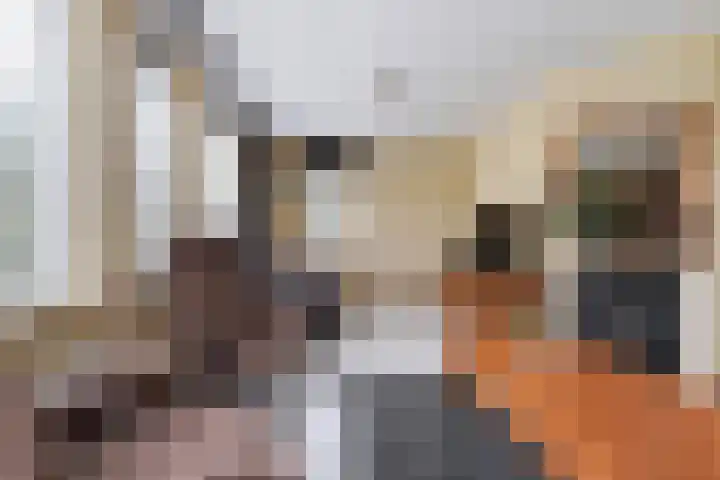 Beukenlaan 16 Sprang-Capelle thumbnail 11