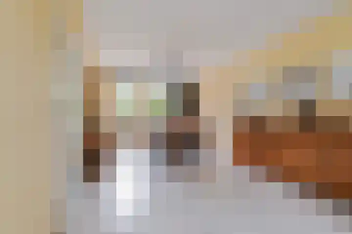Beukenlaan 16 Sprang-Capelle thumbnail 13