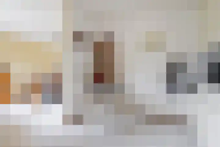 Beukenlaan 16 Sprang-Capelle thumbnail 15
