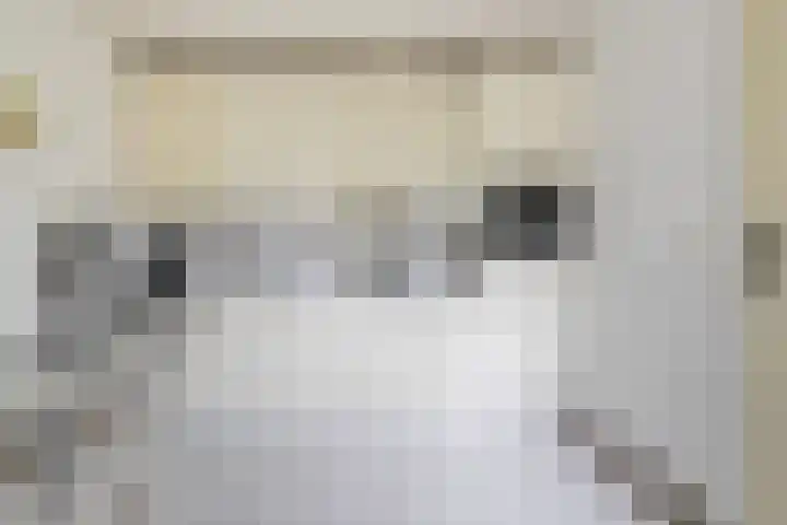 Beukenlaan 16 Sprang-Capelle thumbnail 16