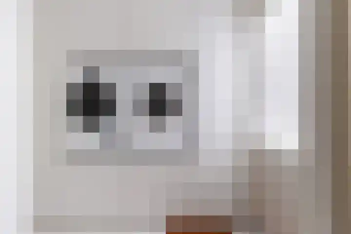 Beukenlaan 16 Sprang-Capelle thumbnail 17