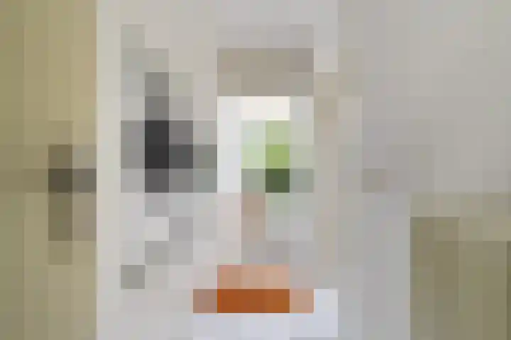 Beukenlaan 16 Sprang-Capelle thumbnail 18