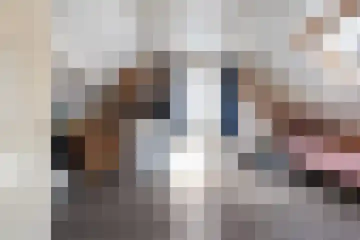 Beukenlaan 16 Sprang-Capelle thumbnail 28