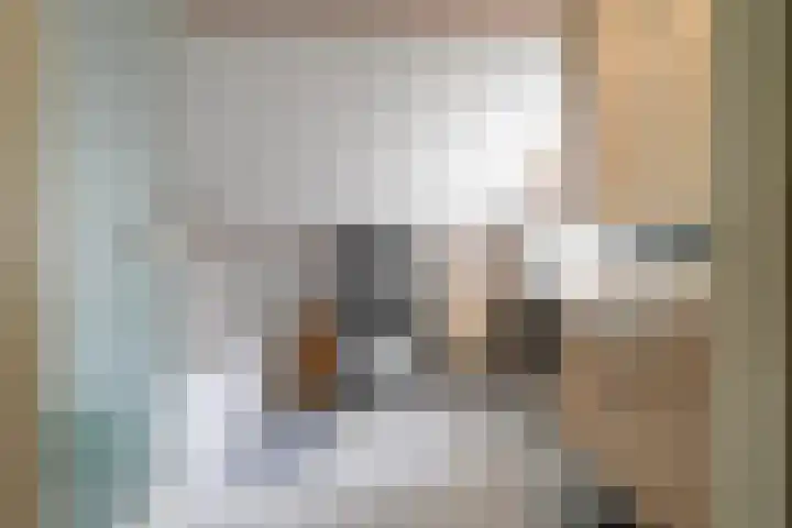 Beukenlaan 16 Sprang-Capelle thumbnail 29