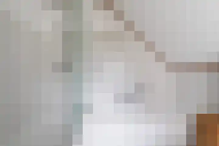 Beukenlaan 16 Sprang-Capelle thumbnail 30