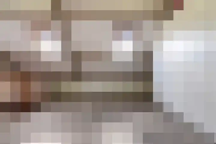 Beukenlaan 16 Sprang-Capelle thumbnail 32
