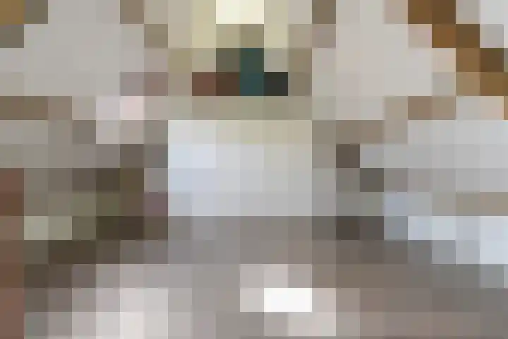 Beukenlaan 16 Sprang-Capelle thumbnail 33