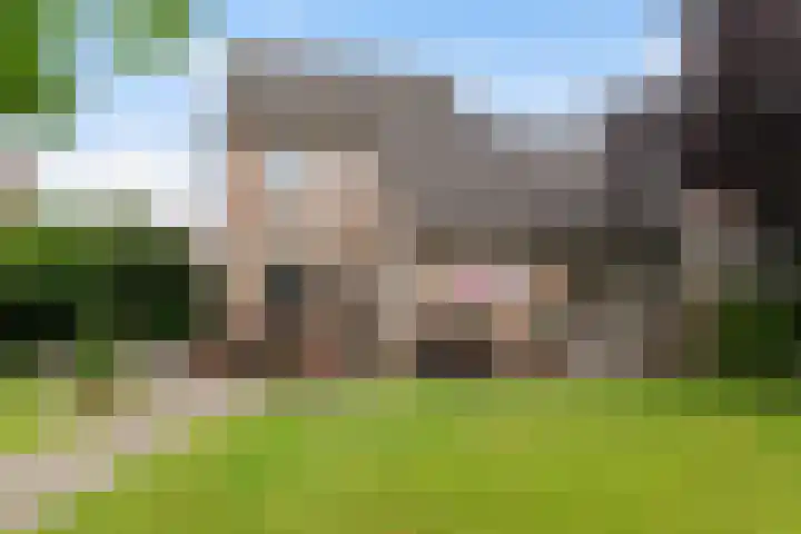 Beukenlaan 16 Sprang-Capelle thumbnail 35