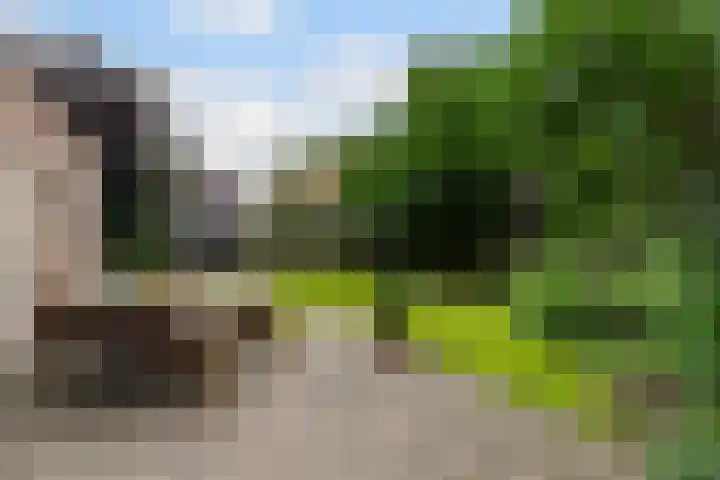 Beukenlaan 16 Sprang-Capelle thumbnail 36