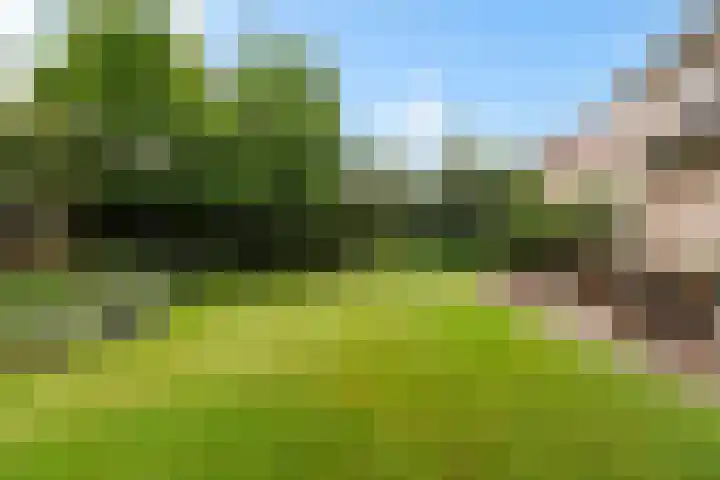 Beukenlaan 16 Sprang-Capelle thumbnail 37