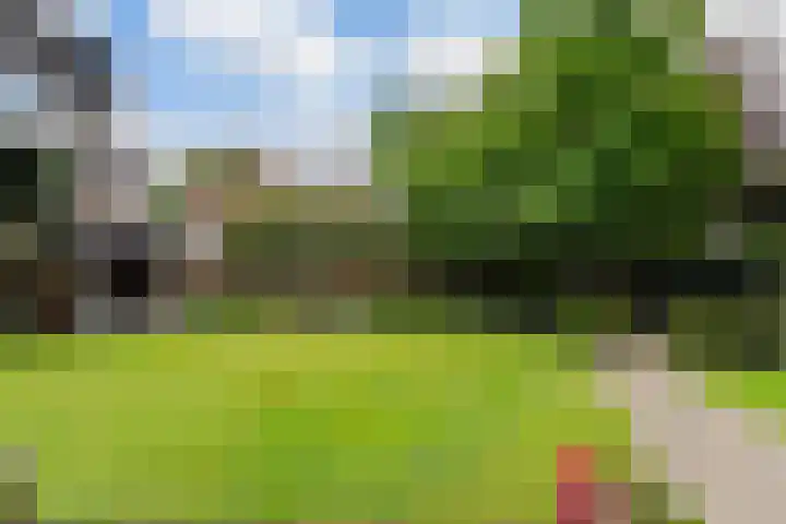 Beukenlaan 16 Sprang-Capelle thumbnail 38