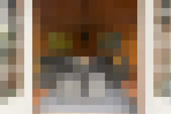 Beukenlaan 16 Sprang-Capelle thumbnail 39