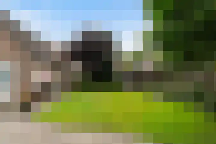 Beukenlaan 16 Sprang-Capelle thumbnail 40