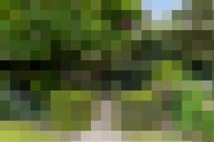 Beukenlaan 16 Sprang-Capelle thumbnail 41