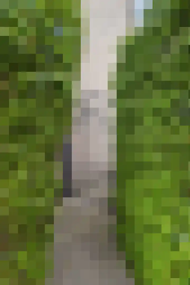 Beukenlaan 16 Sprang-Capelle thumbnail 42