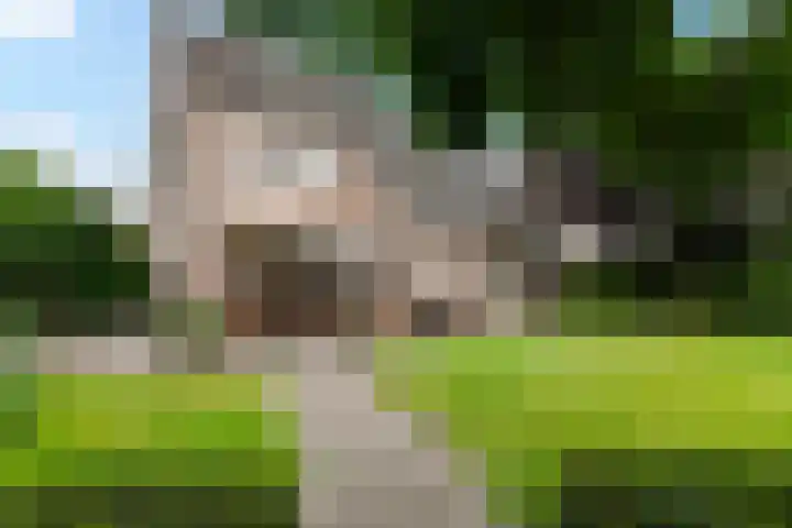 Beukenlaan 16 Sprang-Capelle thumbnail 43