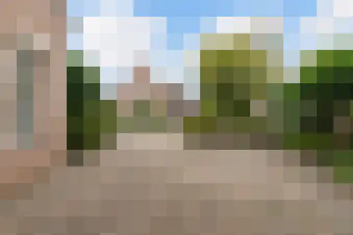 Beukenlaan 16 Sprang-Capelle thumbnail 45