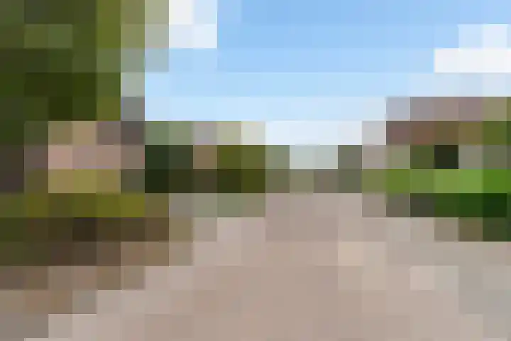 Beukenlaan 16 Sprang-Capelle thumbnail 47