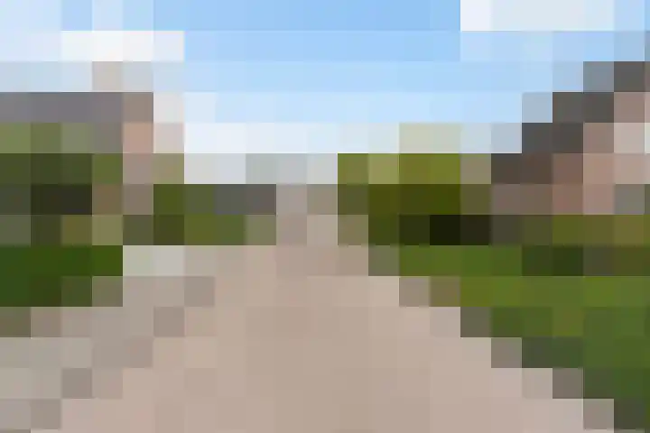 Beukenlaan 16 Sprang-Capelle thumbnail 48