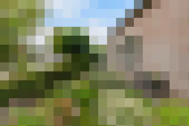 Beukenlaan 16 Sprang-Capelle thumbnail 49