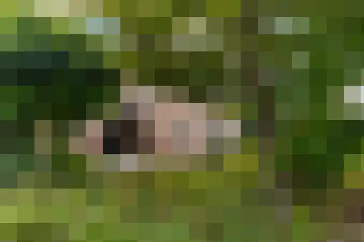 Beukenlaan 16 Sprang-Capelle thumbnail 5