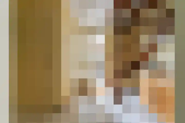 Beukenlaan 16 Sprang-Capelle thumbnail 7