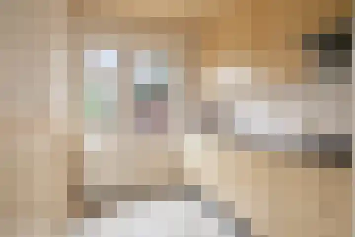 Beukenlaan 16 Sterksel thumbnail 16