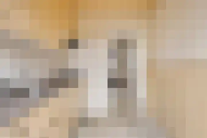 Beukenlaan 16 Sterksel thumbnail 17