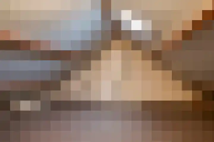 Beukenlaan 16 Sterksel thumbnail 26
