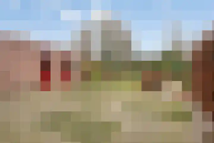 Beukenlaan 16 Sterksel thumbnail 28