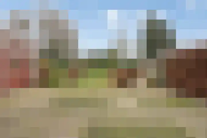 Beukenlaan 16 Sterksel thumbnail 29