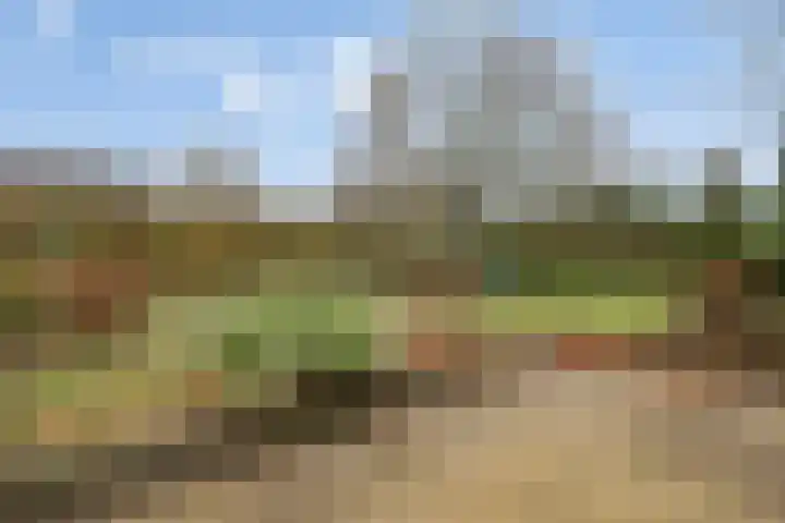 Beukenlaan 16 Sterksel thumbnail 30