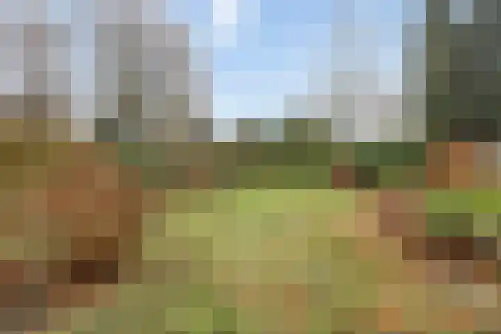 Beukenlaan 16 Sterksel thumbnail 31