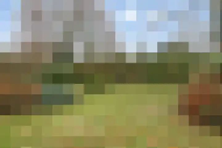 Beukenlaan 16 Sterksel thumbnail 32