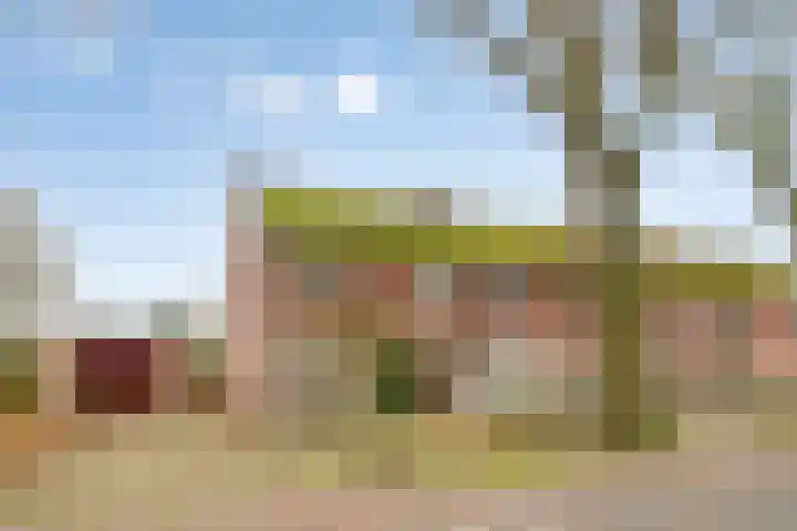 Beukenlaan 16 Sterksel thumbnail 39