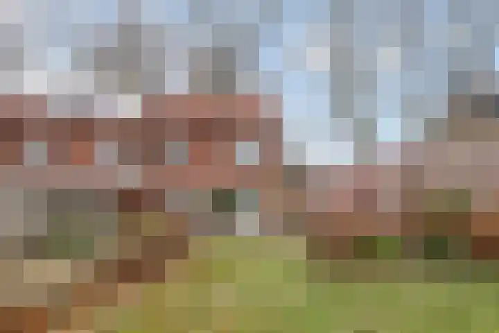 Beukenlaan 16 Sterksel thumbnail 4