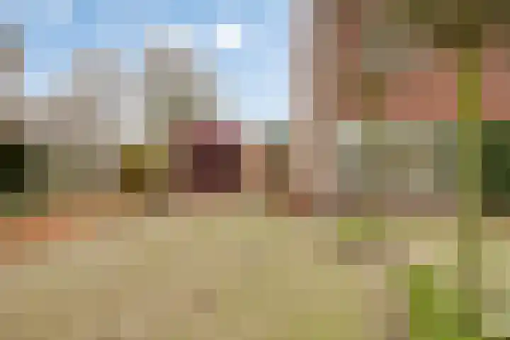 Beukenlaan 16 Sterksel thumbnail 5