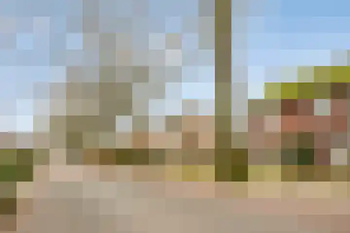 Beukenlaan 16 Sterksel thumbnail 6