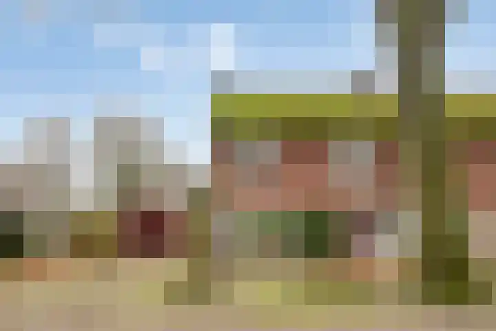 Beukenlaan 16 Sterksel thumbnail 7
