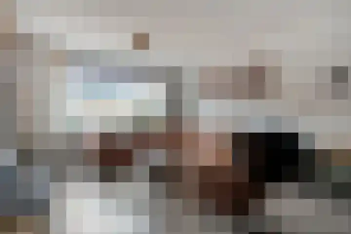 Beukenlaan 17 Balkbrug thumbnail 10
