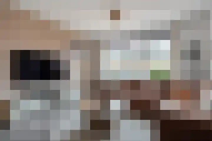 Beukenlaan 17 Balkbrug thumbnail 12