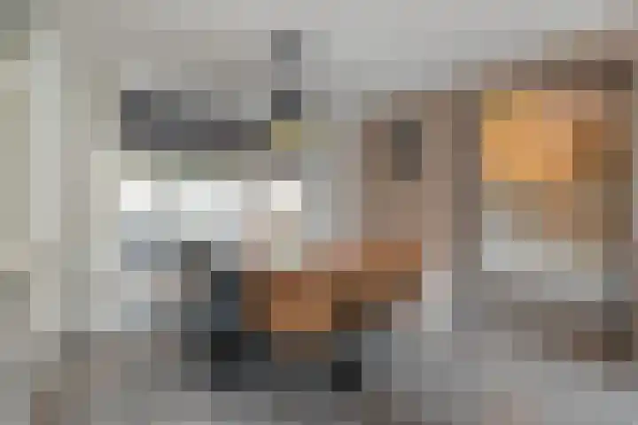 Beukenlaan 17 Balkbrug thumbnail 14