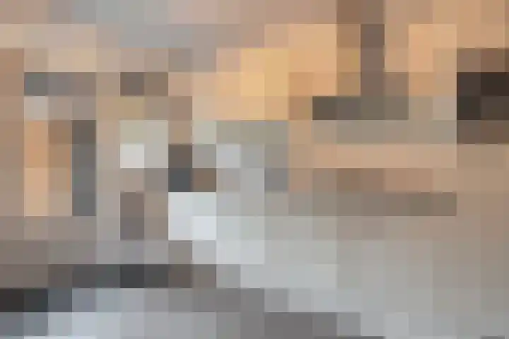Beukenlaan 17 Balkbrug thumbnail 18
