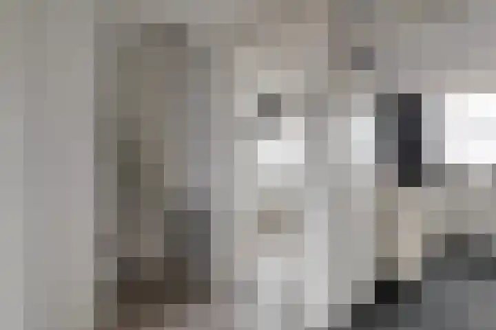 Beukenlaan 17 Balkbrug thumbnail 21